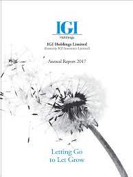 2018 annual report ing groep n.v. Igi Annual Report 2018 Revenue Dividend