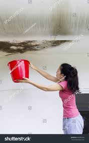 Asian Woman Using Bucket Collecting Water Stock Photo 695066545 |  Shutterstock
