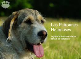 We did not find results for: Devenir Famille D Accueil
