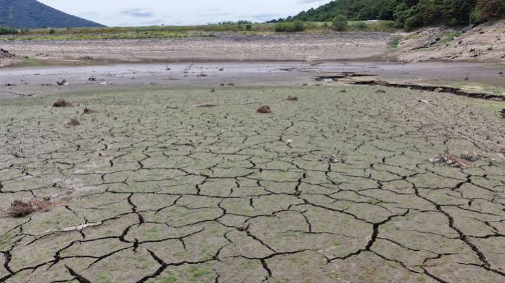 Korea Deploys National Fire Force as Drought Empties Reservoirs - Seoul Economic Daily