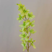 Check spelling or type a new query. Carnival Vanda Orchid Flowers Lime Green Artificial Flowers