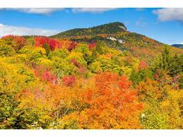 Image result for but i love you most of all when autumn leaves begin to fall