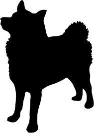 Image result for dog image no background