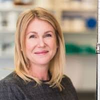 10+ "Jennifer Mosher" profiles