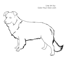 Border Collie Dog Standingcoloring Page Border Collie Border Collie Line Art Border Collie Dog
