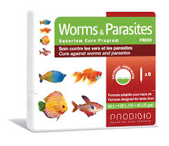 Take the fishes out and put them in another temporary tank or bag. Processing Fish Disease Freshwater Aquarium Parasitic Worms Prodibio Com