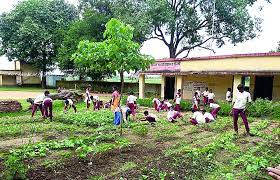 Get nutrition information for olive garden items and over 200,000 other foods (including over 3,000 brands). Nutrition Gardens In School Telegraph India
