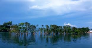 Tanguar Haor Tour Package