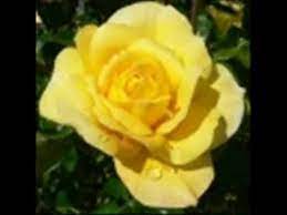 Situaţia apostolului pavel 1:7 în lanţuri; Evanghelia Are Putere Youtube