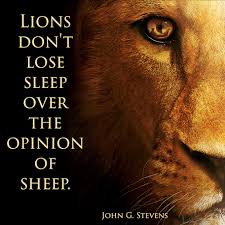 Lions Don T Lose Sleep Over The Opinion Of Sheep Lions Dont Lose Sleep Science Quotes Latin Quotes