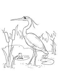 People interested in lukisan burung also searched for. Mewarnai Gambar Burung Bangau Aneka Gambar Mewarnai Mewarnai Gambar Burung Bangau Berikut Ini Adalah Gambar Mewarnai Seek Gambar Burung Gambar Hewan Gambar