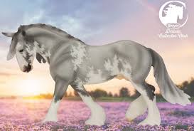 Image result for Thesium breyeri