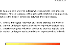 We did not find results for: A Homologous Chromosomes Divide In Meiosis L And Sister B Homologous Chromosomes Divide In Meiosis Ll And Sister Pdf Free Download