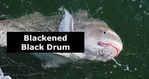 Check spelling or type a new query. Black Drum Recipes Hunting And Fishing Depot