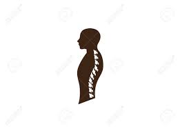 Only basic understanding of javascript and jquery is. Backbone Spine In A Man Shape For Logo Design Illustration On A White Isolated Background Royalty Free Cliparts Vectors And Stock Illustration Image 128710109