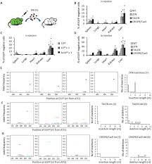 Click mai jos pentru a urmarii urmatoarele episoade. Efficient In Vivo Genome Editing Mediated By Stem Cells Derived Extracellular Vesicles Carrying Designer Nucleases Biorxiv