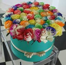 Flowers by evelyn promo code. Pin On Õ¢Ê†Ñ³Ê€É›à¸£