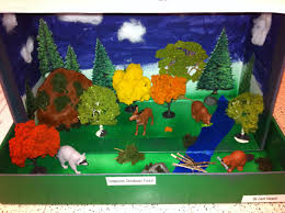 Biome In A Box Project Biome In A Box My Students Did A Really Good Job With These Projects This Year Biomes Project Biomes School Projects