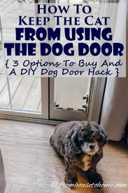 A lot of cat owners ask about solutions to this problem, and there are quite a few things you can do too, though cat window guards don't necessarily make for it's also good to keep in mind that some cats might scratch their way through screens, whereas others might be able to actually push through the. How To Keep The Cat From Using The Dog Door