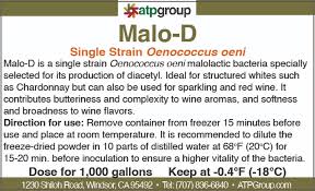 Image result for Malouetia mildbraedii