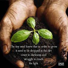 The Tiny Seed Knew That In Order To Grow It Need To Be Dropped In The Dirt Covered In Darkness And Struggle To Re The Tiny Seed King Quotes Inspirational Words