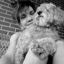 What's your favourite intro to an AC/DC number. My vote goes to the intro  to Livewire, what's yours ? AC⚡DC rule.