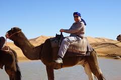 Camel meaning, definition, what is camel: Camel Jockey Definition And Meaning