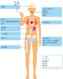 禁煙センセイに聞いた 頑張らない禁煙のススメ | 済生会