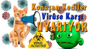 Konusan Kediler Koronaviruse Karsi Sizleri Uyariyor 2020 Komik Kediler Kedi Komik