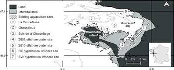 The company bjs offshore limited was incorporated for the purpose of: Frontiers Remote Sensing Driven Pacific Oyster Crassostrea Gigas Growth Modeling To Inform Offshore Aquaculture Site Selection Marine Science