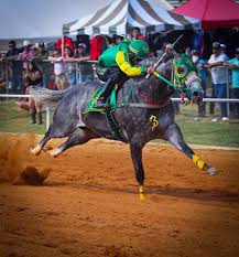 Carreras De Arkansas