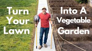 Maybe you would like to learn more about one of these? How To Turn Your Lawn Into A Vegetable Garden Youtube