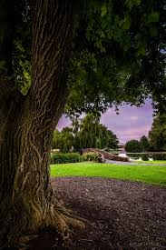 Botanical Gadens Organic Gardening Magazine Organic Plants Garden Photography