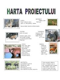 Fise insecte si mici vietuitoare. Animale Salbatice Harta