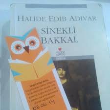 Halide Edip Adivar Sinekli Bakkal Kutuphaneden Ilk Kitabim Kitap Edebiyat