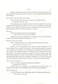 Image result for Queenslandiella