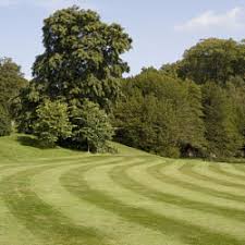 We did not find results for: Lawn Striping Mowing Patterns Lawn Mower Striping Kits