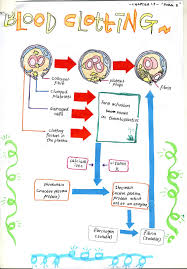 Biology form 4 notes chapter 3 : Bijak Tekun Nota Kreatif Biologi Tingkatan 5 Bab 1