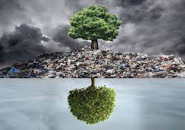 환경 오염 pollution environment environmental pollution outdoor advertising