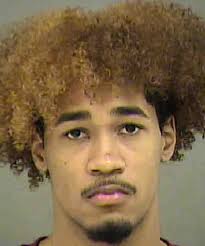 William Presley Larceny By Employee