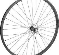 Amazon.com: Wheel Master - Rueda delantera de bicicleta de ...
