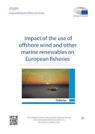 Netflix's deadly illusions is total trash, and not in a fun way. Pdf Impact Of The Use Of Offshore Wind And Other Marine Renewables On European Fisheries