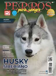 Fotos de perros husky chiquitos. Agosto 2019 Husky Siberiano By Editorial Delco Issuu