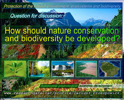 What Is The Role Of Biodiversity In The Natural Environment