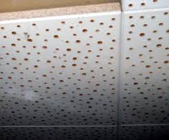 Maybe you would like to learn more about one of these? Asbestos Ceiling Tile Removal Asbestos Acoustic Ceiling Tile Removal
