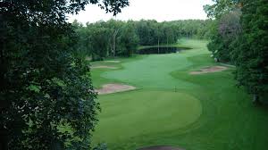 Image result for Lawsonia