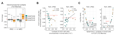 IJMS | Free Full-Text | Trisomies Reorganize Human 3D Genome