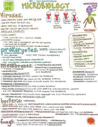 Microbiology Nursing School Studying Microbiology Science Notes