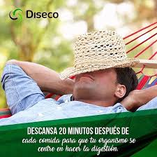 Eva o'brien, to create disco, a premium line of clean skin and body products for. Diseco Tipdiseco Descansa 20 Minutos Despues De Cada Comida Para Que Tu Organismo Se Centre En Hacer La Digestion Www Diseco Com Ve Diseco Salud Saludable Relax Siesta Tipoftheday Tip Viaje