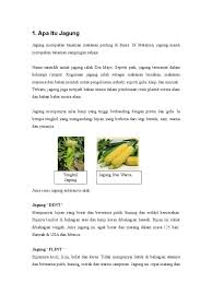 Informasi terupdate seputar harga jagung hari ini di blitar, madura dan kediri. Info Jagung